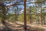 487 Maroon Lake Circle - Photo 36