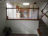 7338 Theresa Drive - Photo 16