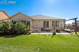 9804 Bighorn Canyon Drive - Photo 10