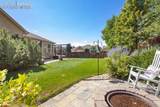 9804 Bighorn Canyon Drive - Photo 12