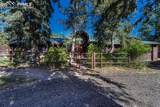 13354 Meridian Road - Photo 16