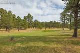 13354 Meridian Road - Photo 25