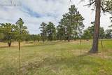 13354 Meridian Road - Photo 26