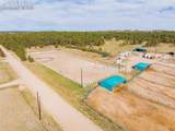 13354 Meridian Road - Photo 30