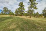 13354 Meridian Road - Photo 31