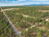13354 Meridian Road - Photo 32