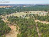 13354 Meridian Road - Photo 33