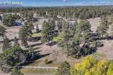 13354 Meridian Road - Photo 41