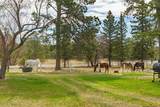 13354 Meridian Road - Photo 7