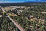 13354 Meridian Road - Photo 8