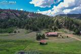 35 Cree Path - Photo 44