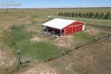 7999 County Road 153 - Photo 6