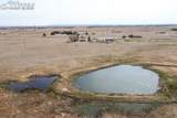 16047 Falcon Highway - Photo 15