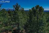 3447 Pathfinder Road - Photo 15