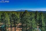 3447 Pathfinder Road - Photo 18