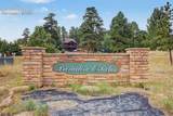 1015 Locklin Way - Photo 42