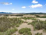 2387 Buffalo Ridge Road - Photo 87