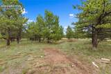 1395 Doe Valley Road - Photo 43