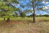 1395 Doe Valley Road - Photo 44