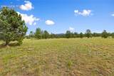 1395 Doe Valley Road - Photo 7