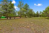 1395 Doe Valley Road - Photo 8