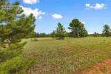 1395 Doe Valley Road - Photo 9
