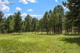 325 Pine Oaks Road - Photo 10