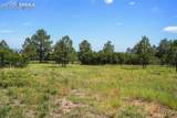 325 Pine Oaks Road - Photo 12
