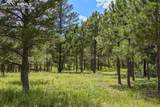 325 Pine Oaks Road - Photo 13