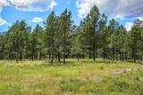 325 Pine Oaks Road - Photo 3
