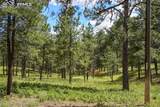 325 Pine Oaks Road - Photo 6