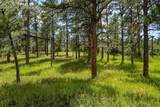 325 Pine Oaks Road - Photo 7