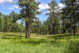 325 Pine Oaks Road - Photo 8