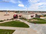 10398 Mount Evans Drive - Photo 45