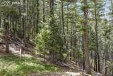 15947 Perry Park Road - Photo 8