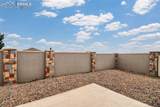4293 Hessite Loop - Photo 34