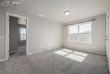 5344 Sunday Gulch Drive - Photo 31
