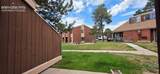 4509 Carefree Circle - Photo 59