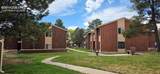4509 Carefree Circle - Photo 64
