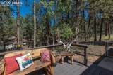 702 Sunnywood Loop - Photo 11