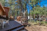 702 Sunnywood Loop - Photo 17
