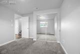 2054 Locoweed Drive - Photo 20
