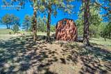189 Saddle Lane - Photo 35