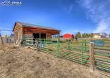 35308 Welch Trail - Photo 35