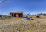 35308 Welch Trail - Photo 36