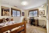 16265 Roller Coaster Road - Photo 19