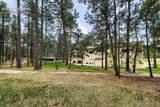 16265 Roller Coaster Road - Photo 37