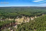 16265 Roller Coaster Road - Photo 41