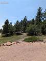 15050 Sun Hills Drive - Photo 71