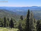  Upper Apex Road - Photo 29
